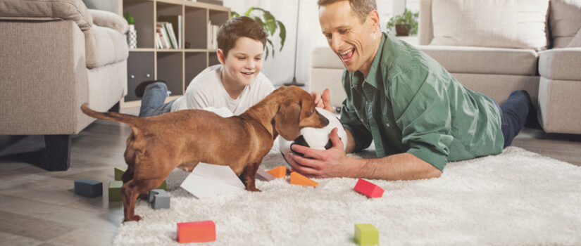 dad and son with puppy